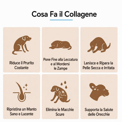 Collagene Liquido Premium Avellis™