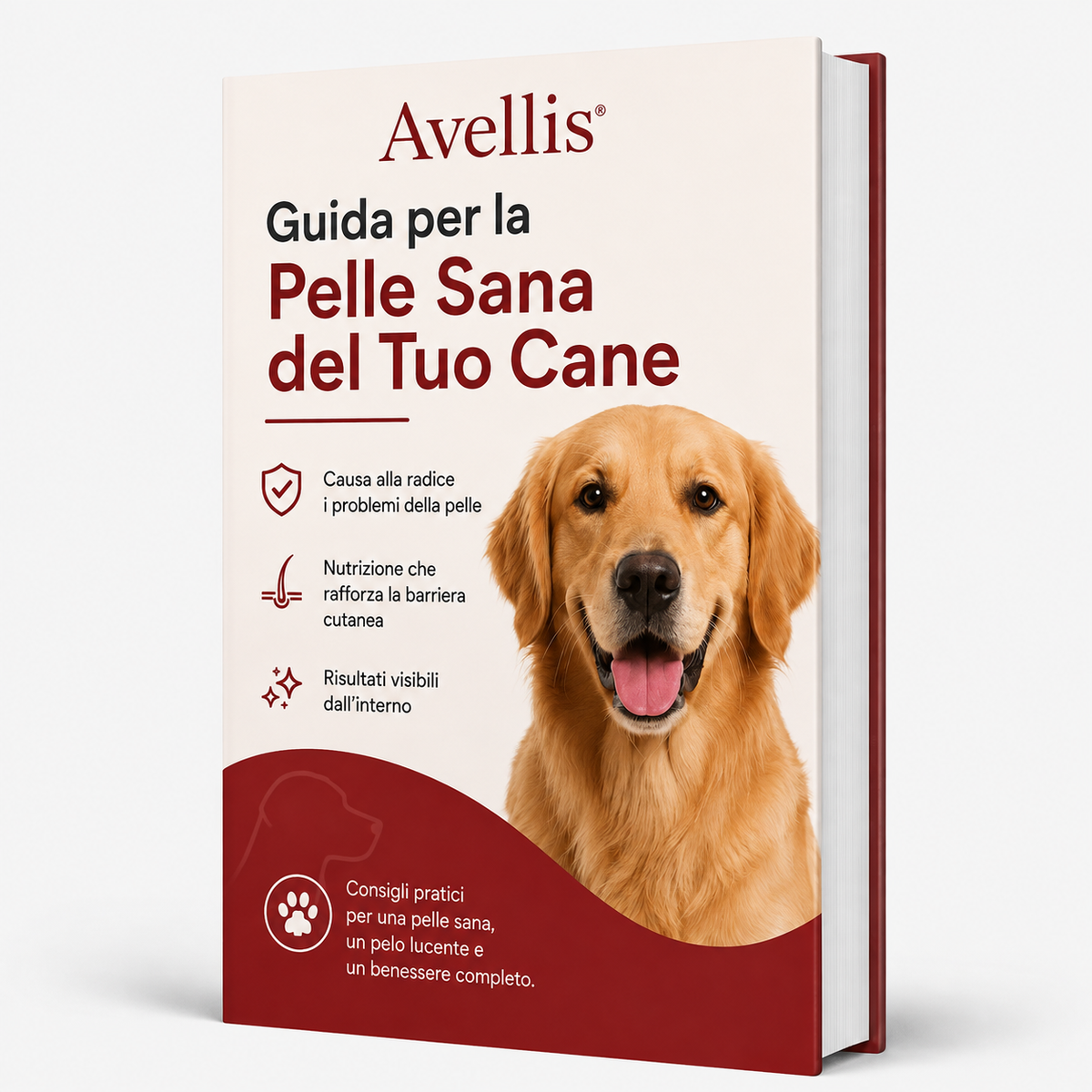 + Guilda "Pelle Sana del Tuo Cane"